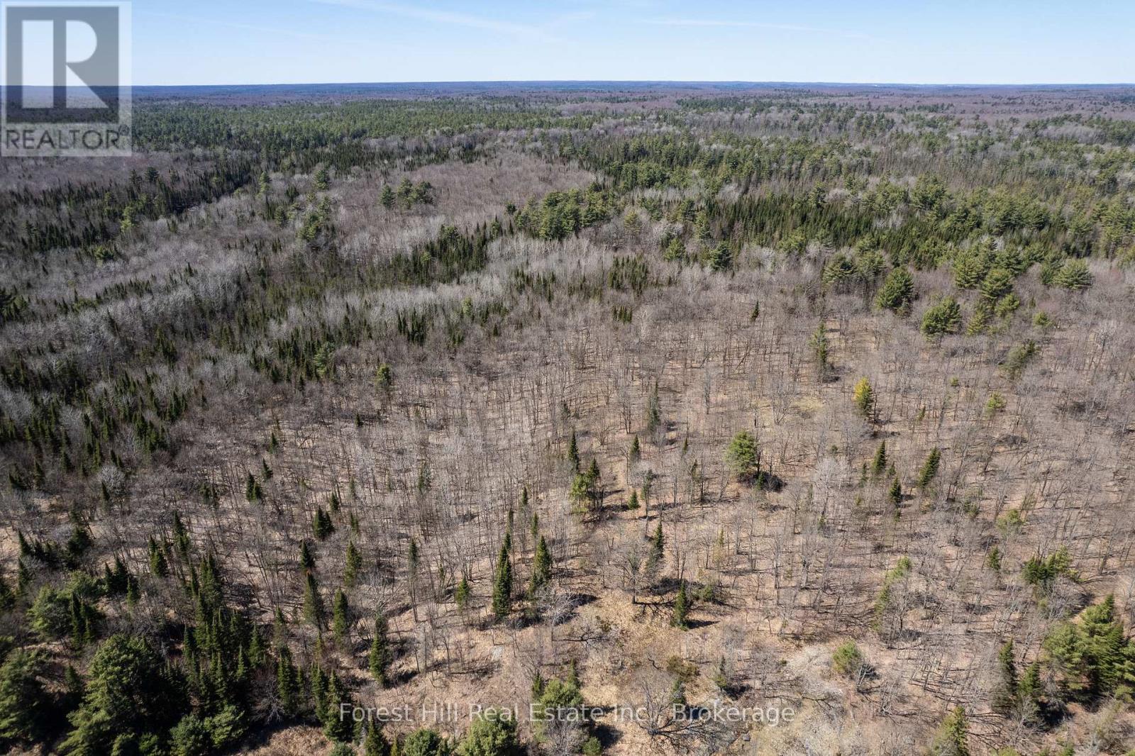 Lt32c9 Concession Line Concession, Lake Of Bays, Ontario  P0A 1B0 - Photo 32 - X12429830