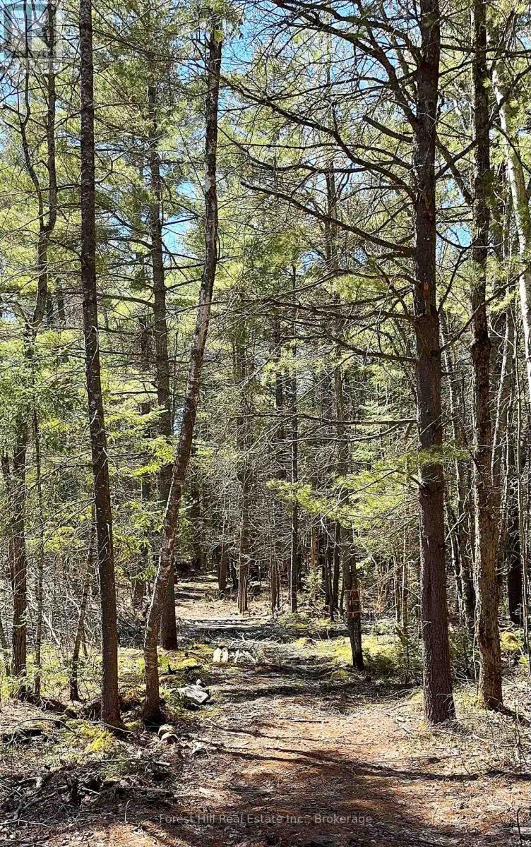 Lt32c9 Concession Line Concession, Lake Of Bays, Ontario  P0A 1B0 - Photo 39 - X12429830