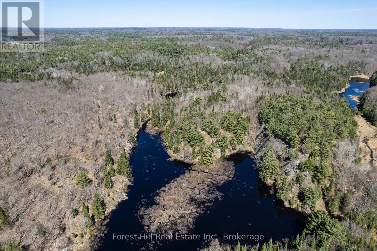 Lt32c9 Concession Line Concession, Lake Of Bays, Ontario  P0A 1B0 - Photo 41 - X12429830