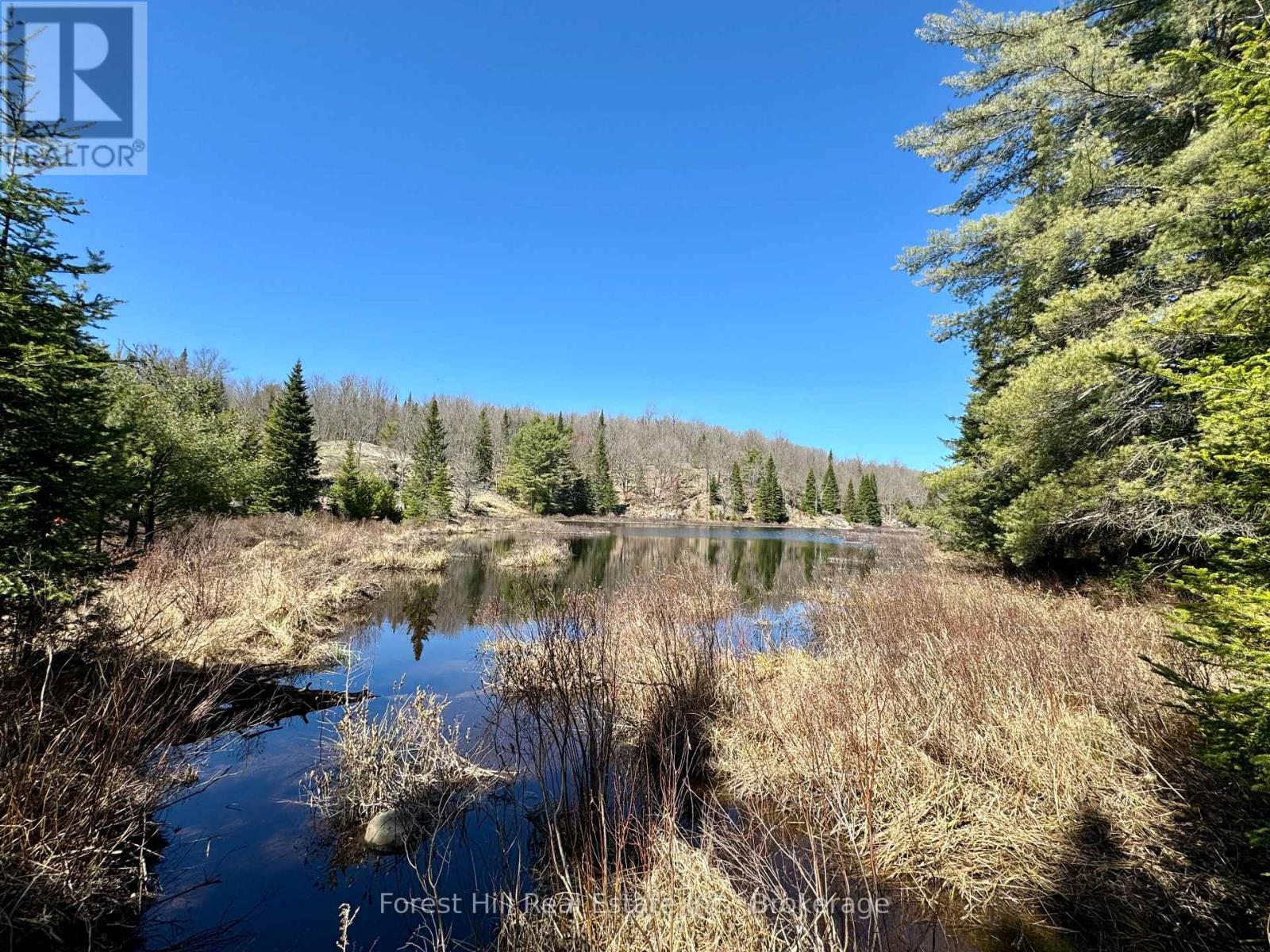 Lt32c9 Concession Line Concession, Lake Of Bays, Ontario  P0A 1B0 - Photo 42 - X12429830