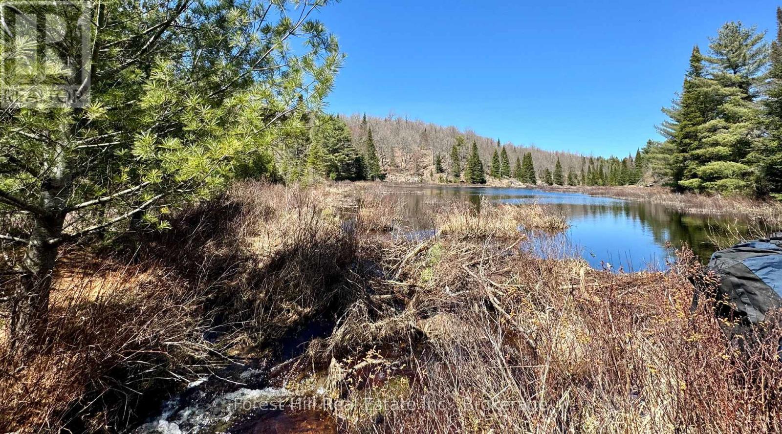 Lt32c9 Concession Line Concession, Lake Of Bays, Ontario  P0A 1B0 - Photo 43 - X12429830