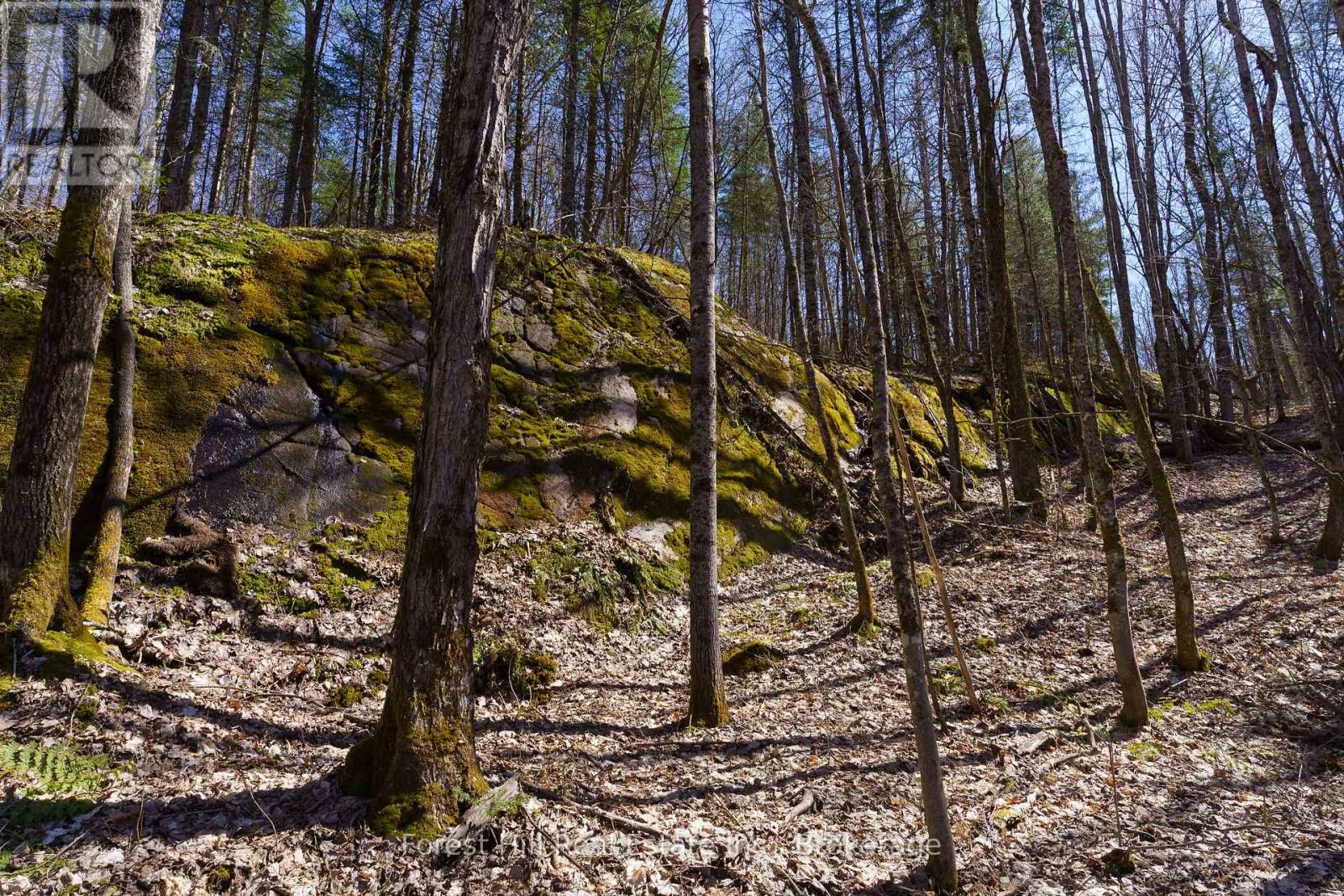 Lt32c9 Concession Line Concession, Lake Of Bays, Ontario  P0A 1B0 - Photo 5 - X12429830