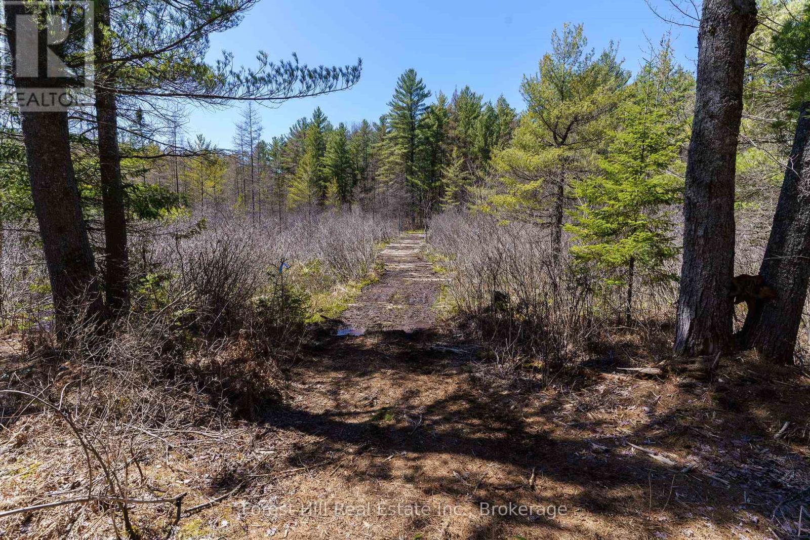 Lt32c9 Concession Line Concession, Lake Of Bays, Ontario  P0A 1B0 - Photo 6 - X12429830