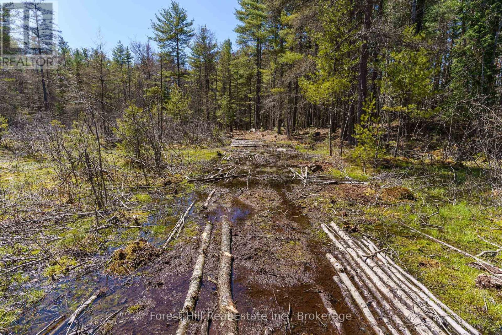 Lt32c9 Concession Line Concession, Lake Of Bays, Ontario  P0A 1B0 - Photo 7 - X12429830