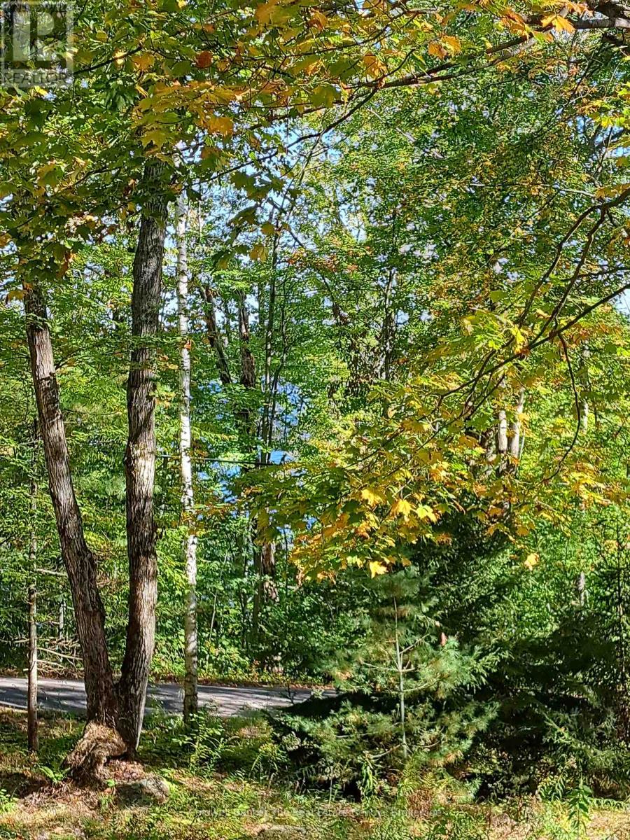 1094 Marina Road, Muskoka Lakes, Ontario  P1P 1R2 - Photo 11 - X12430355