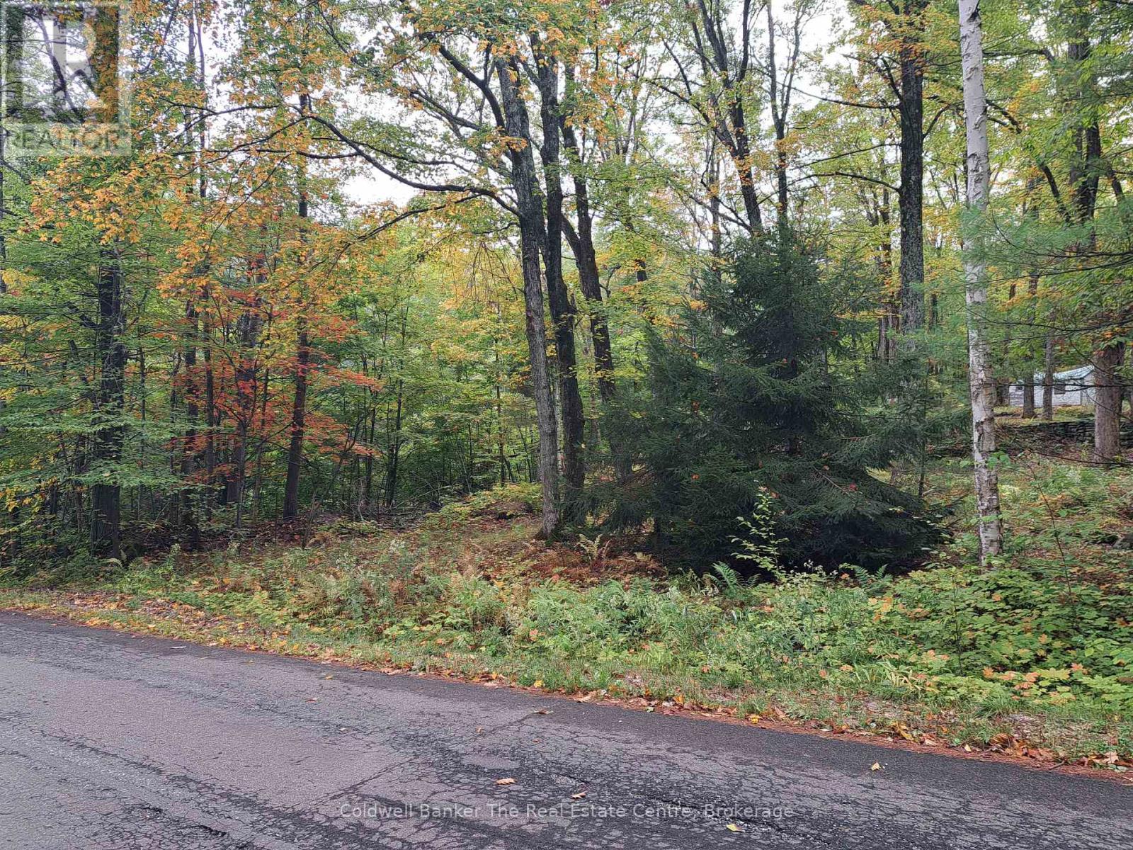 1094 Marina Road, Muskoka Lakes, Ontario  P1P 1R2 - Photo 2 - X12430355