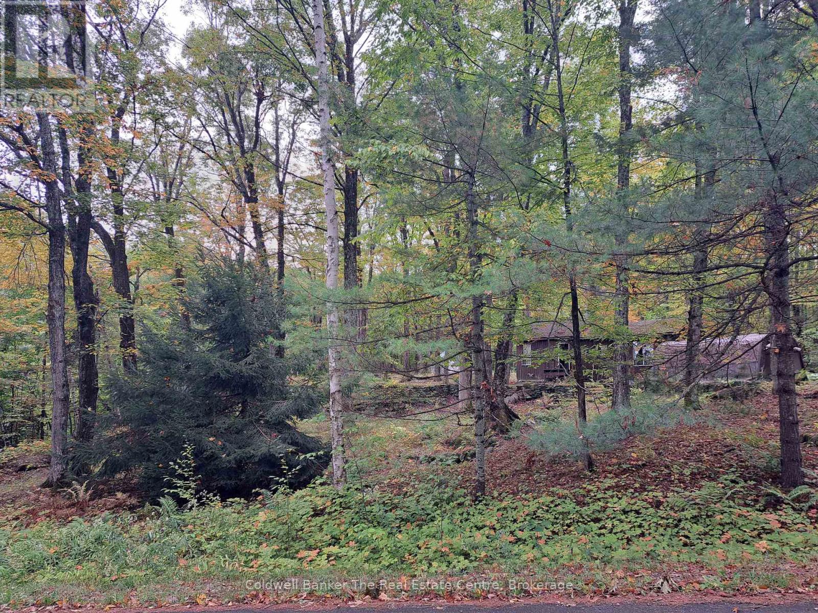 1094 Marina Road, Muskoka Lakes, Ontario  P1P 1R2 - Photo 3 - X12430355