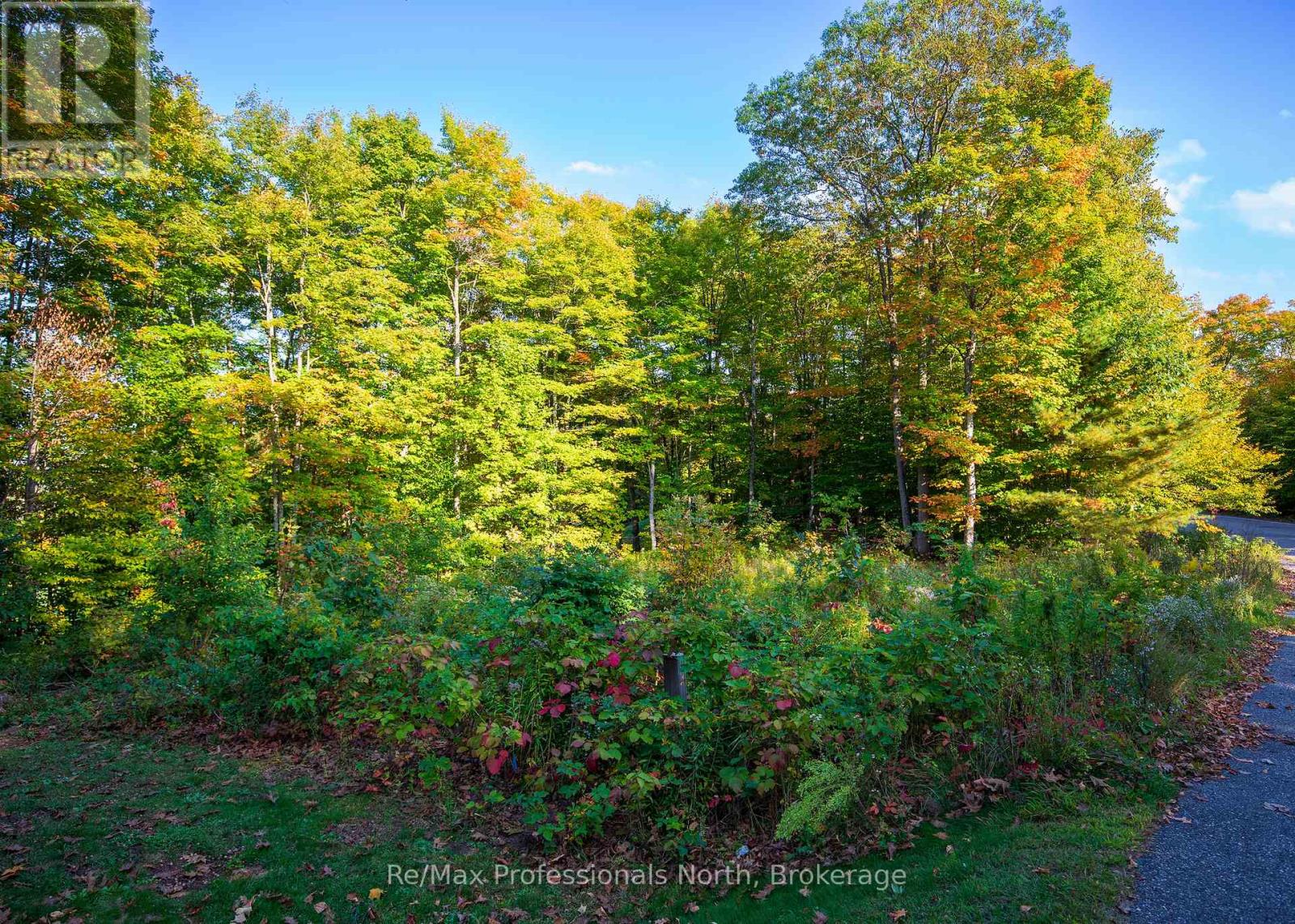 24 Estate Drive, Muskoka Lakes, Ontario  P0B 1J0 - Photo 2 - X12430913