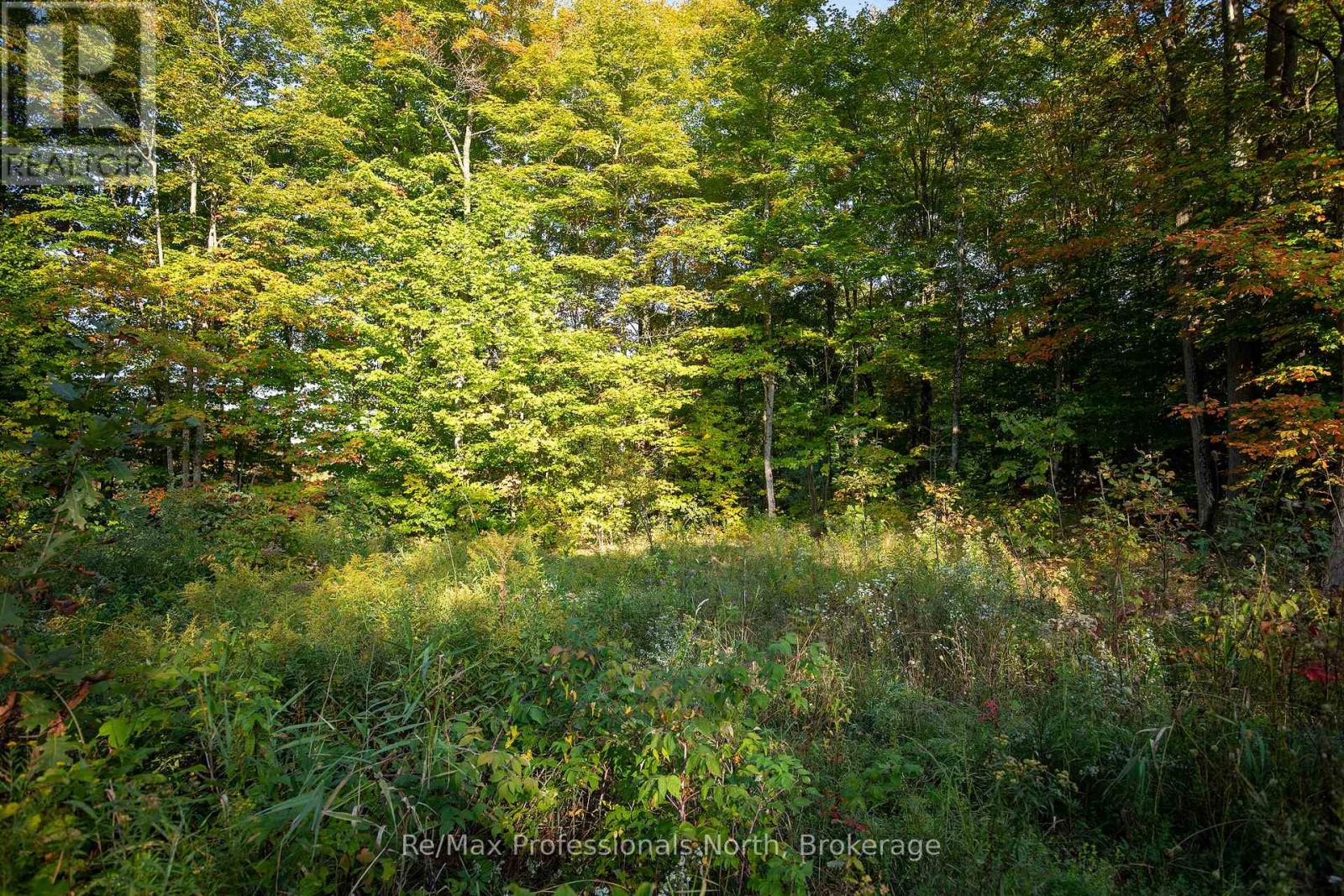 24 Estate Drive, Muskoka Lakes, Ontario  P0B 1J0 - Photo 3 - X12430913