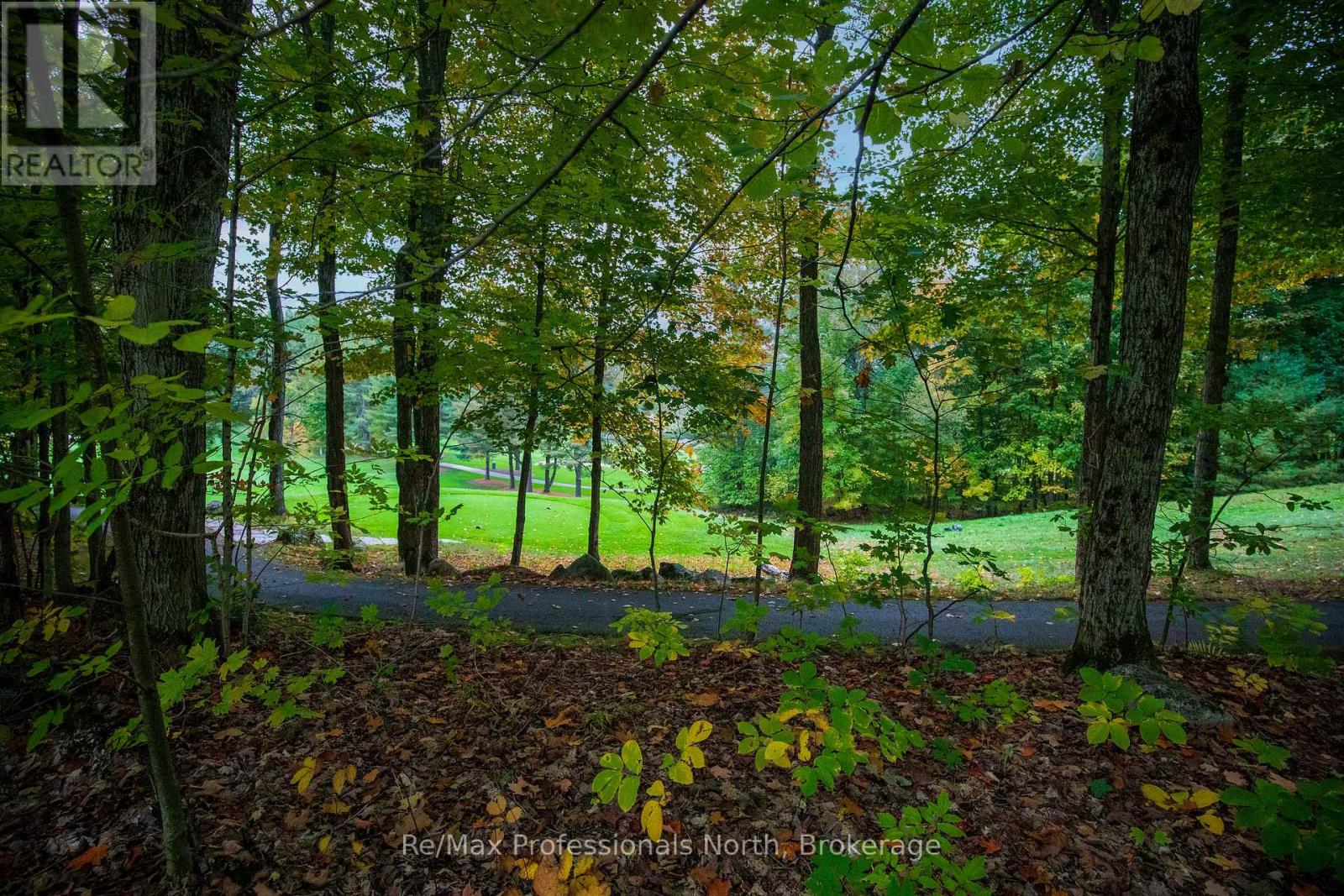 24 Estate Drive, Muskoka Lakes, Ontario  P0B 1J0 - Photo 5 - X12430913