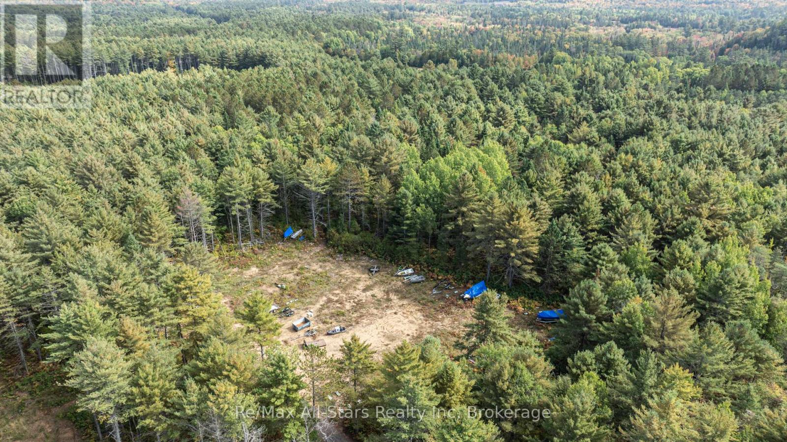 25798 Highway 35 Highway, Lake Of Bays, Ontario  P0A 1H0 - Photo 13 - X12432194