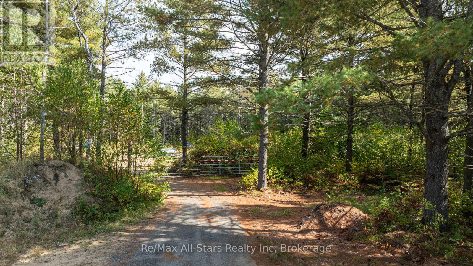 25798 Highway 35 Highway, Lake Of Bays, Ontario  P0A 1H0 - Photo 15 - X12432194