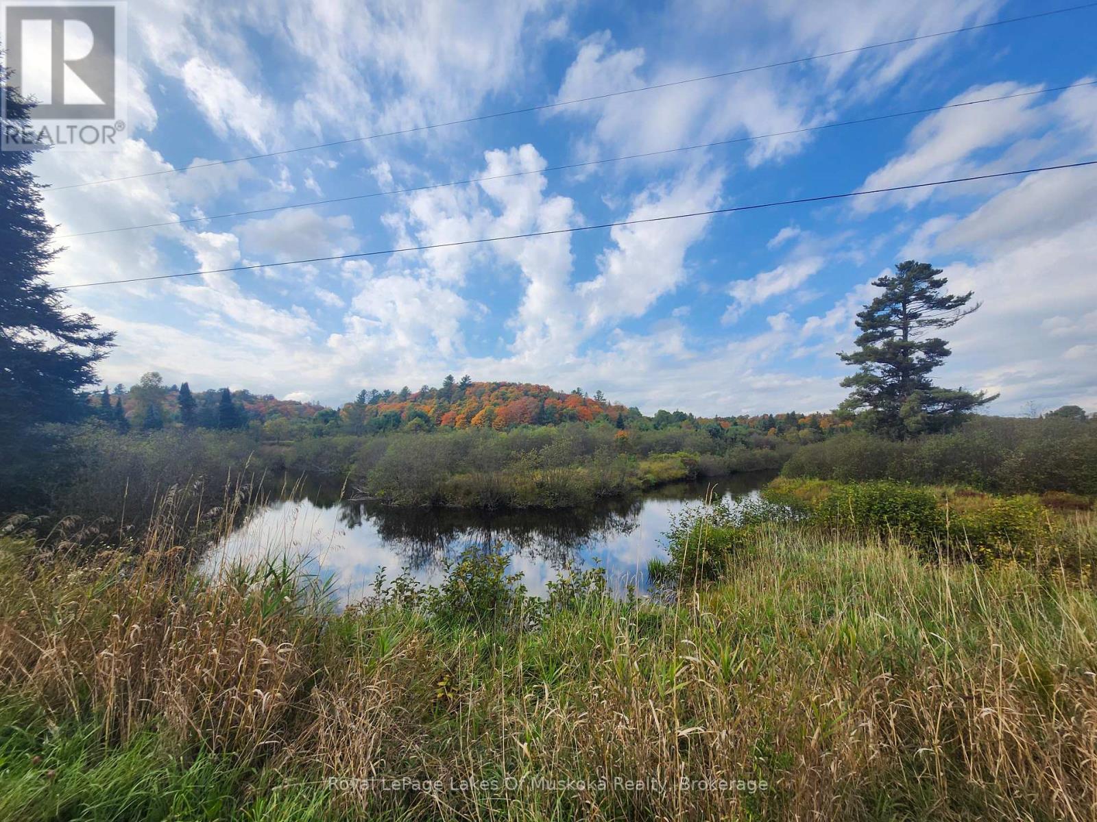 1524 Hekkla Road, Muskoka Lakes, Ontario  P0C 1J0 - Photo 6 - X12433230