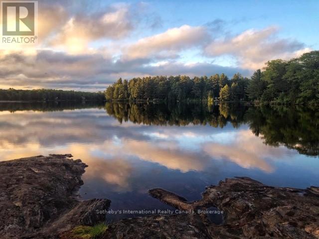 463 Otter Lake Road, Huntsville, Ontario  P1H 2J3 - Photo 4 - X12434776