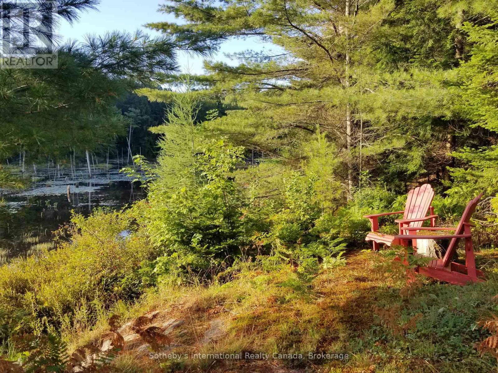 463 Otter Lake Road, Huntsville, Ontario  P1H 2J3 - Photo 50 - X12434776