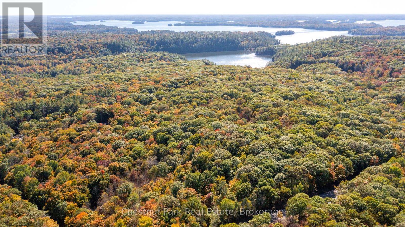 0 Rostrevor Road, Muskoka Lakes, Ontario  P0B 1M0 - Photo 3 - X12435316