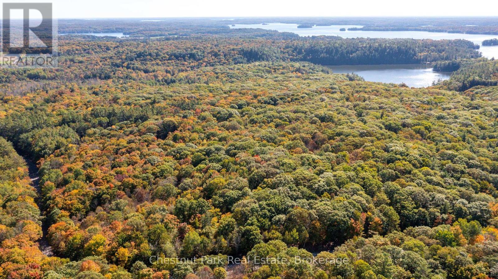 0 Rostrevor Road, Muskoka Lakes, Ontario  P0B 1M0 - Photo 4 - X12435316