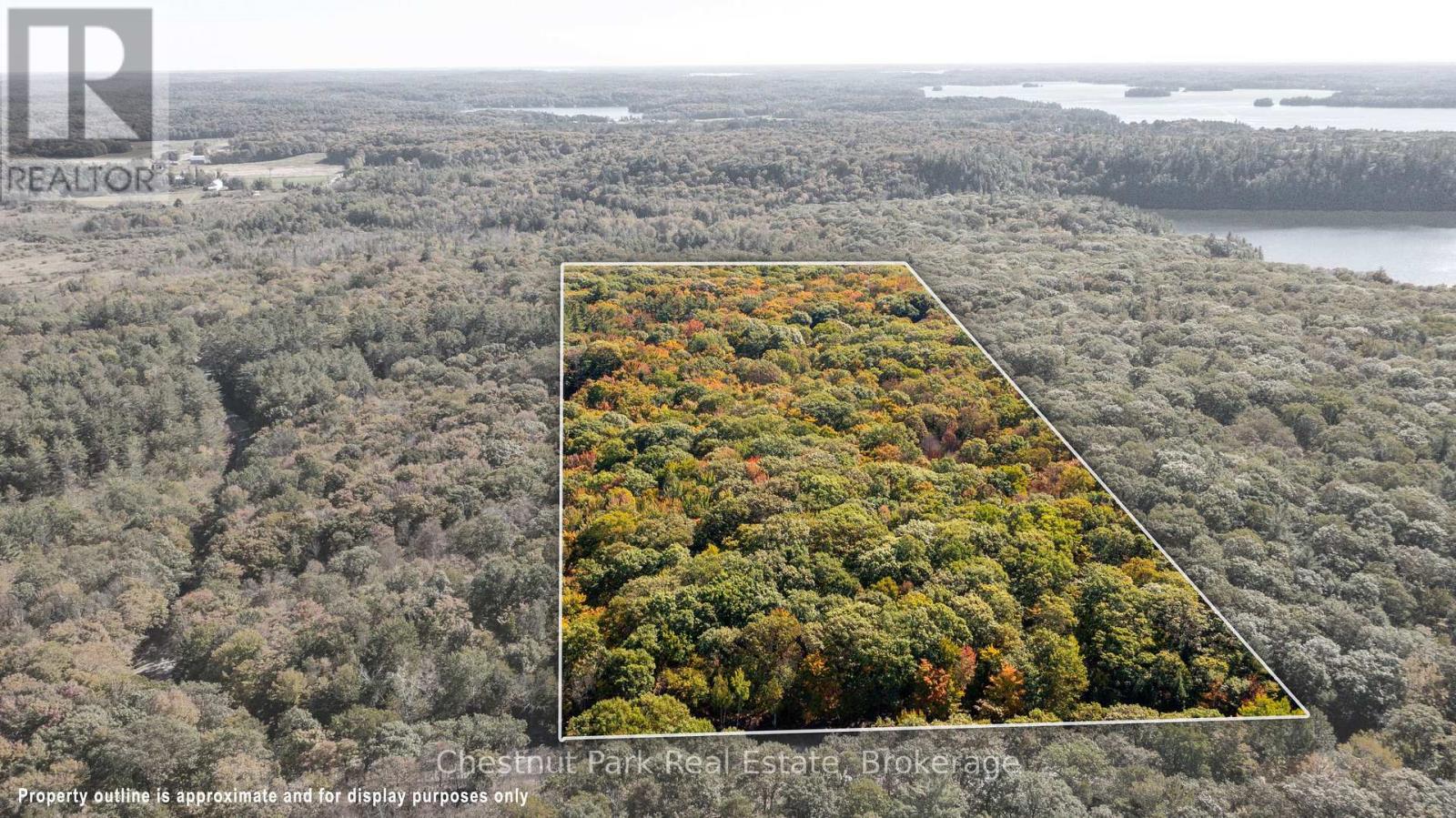 0 Rostrevor Road, Muskoka Lakes, Ontario  P0B 1M0 - Photo 5 - X12435316