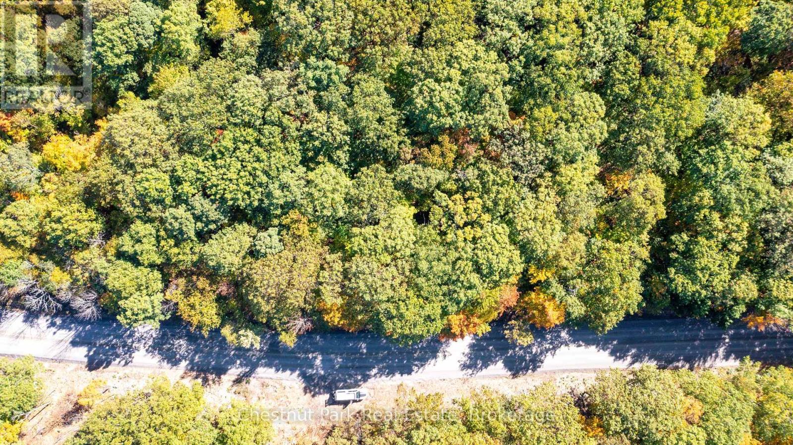 0 Rostrevor Road, Muskoka Lakes, Ontario  P0B 1M0 - Photo 8 - X12435316