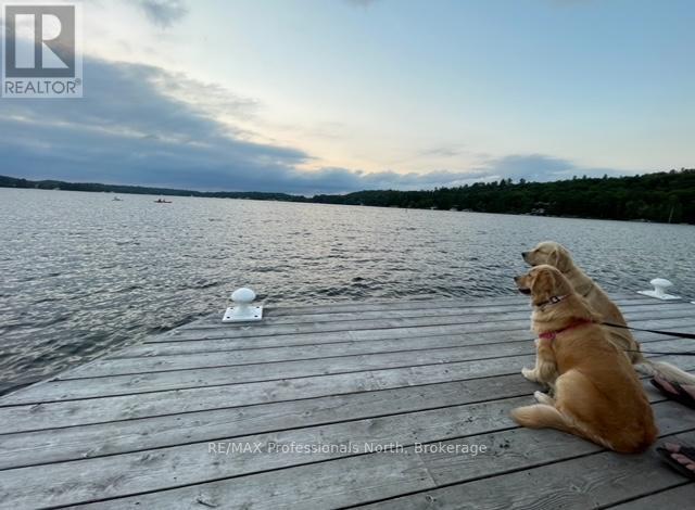 Carling 4, W10 - 3876 Muskoka Road 118 West, Muskoka Lakes, Ontario  P0B 1J0 - Photo 8 - X12437655