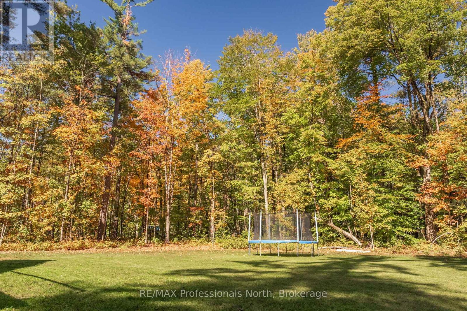 1034 Xavier Street, Gravenhurst, Ontario  P0E 1G0 - Photo 40 - X12437694