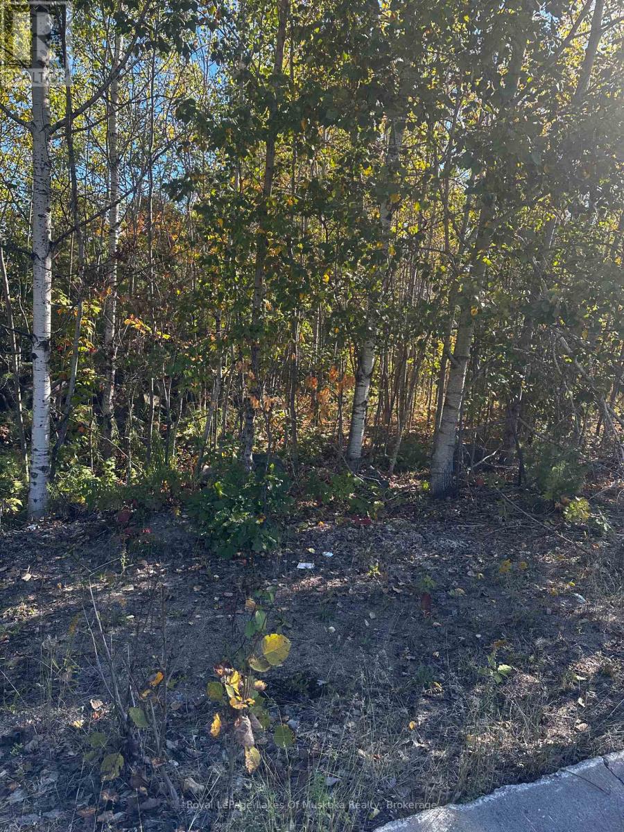 23 Freeland Drive, Gravenhurst, Ontario  P1P 1Z6 - Photo 1 - X12438149