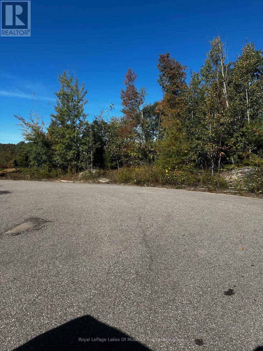 23 Freeland Drive, Gravenhurst, Ontario  P1P 1Z6 - Photo 4 - X12438149