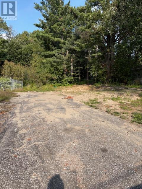 379 Manitoba Street, Bracebridge, Ontario  P1L 2C6 - Photo 1 - X12438501