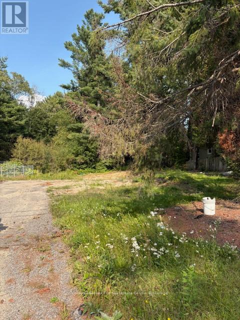 379 Manitoba Street, Bracebridge, Ontario  P1L 2C6 - Photo 2 - X12438501