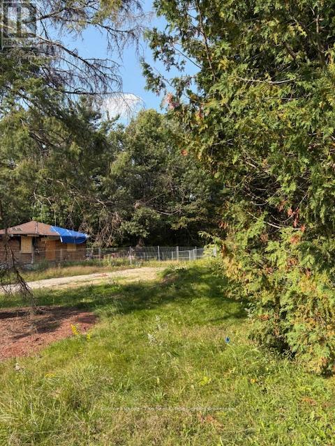 379 Manitoba Street, Bracebridge, Ontario  P1L 2C6 - Photo 3 - X12438501