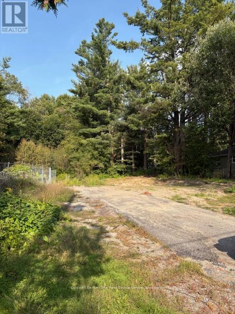 379 Manitoba Street, Bracebridge, Ontario  P1L 2C6 - Photo 4 - X12438501