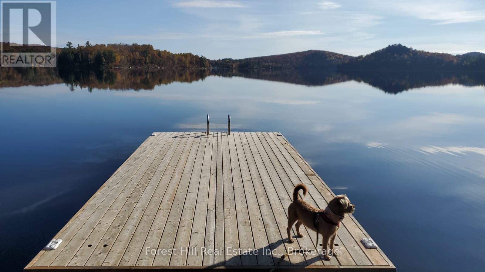 1474 Etwell Road, Huntsville, Ontario  P1H 2J2 - Photo 41 - X12438715