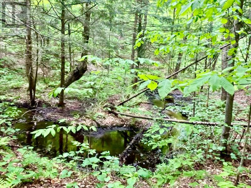 1474 Etwell Road, Huntsville, Ontario  P1H 2J2 - Photo 43 - X12438715