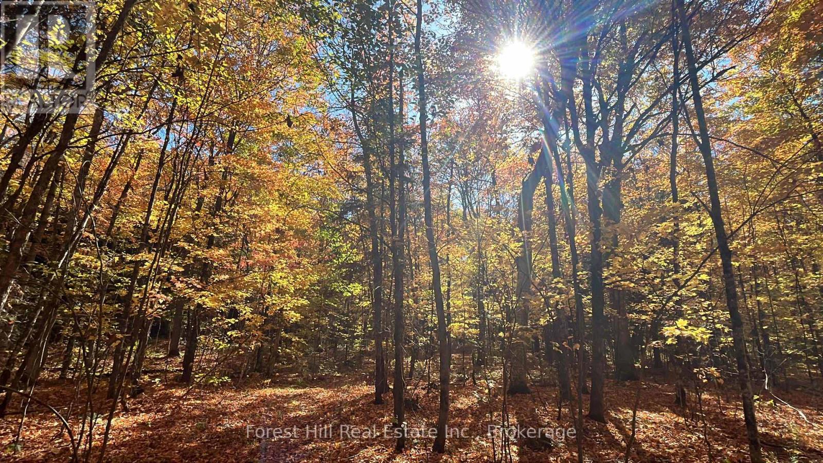 1474 Etwell Road, Huntsville, Ontario  P1H 2J2 - Photo 45 - X12438715