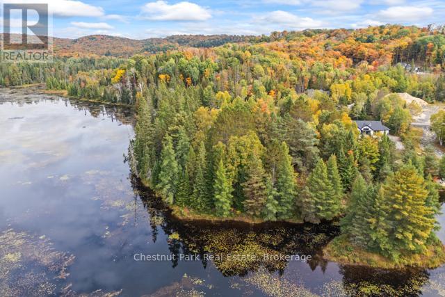 87 - 1019 Pondview Court, Lake Of Bays, Ontario  P1H 2J6 - Photo 44 - X12441767