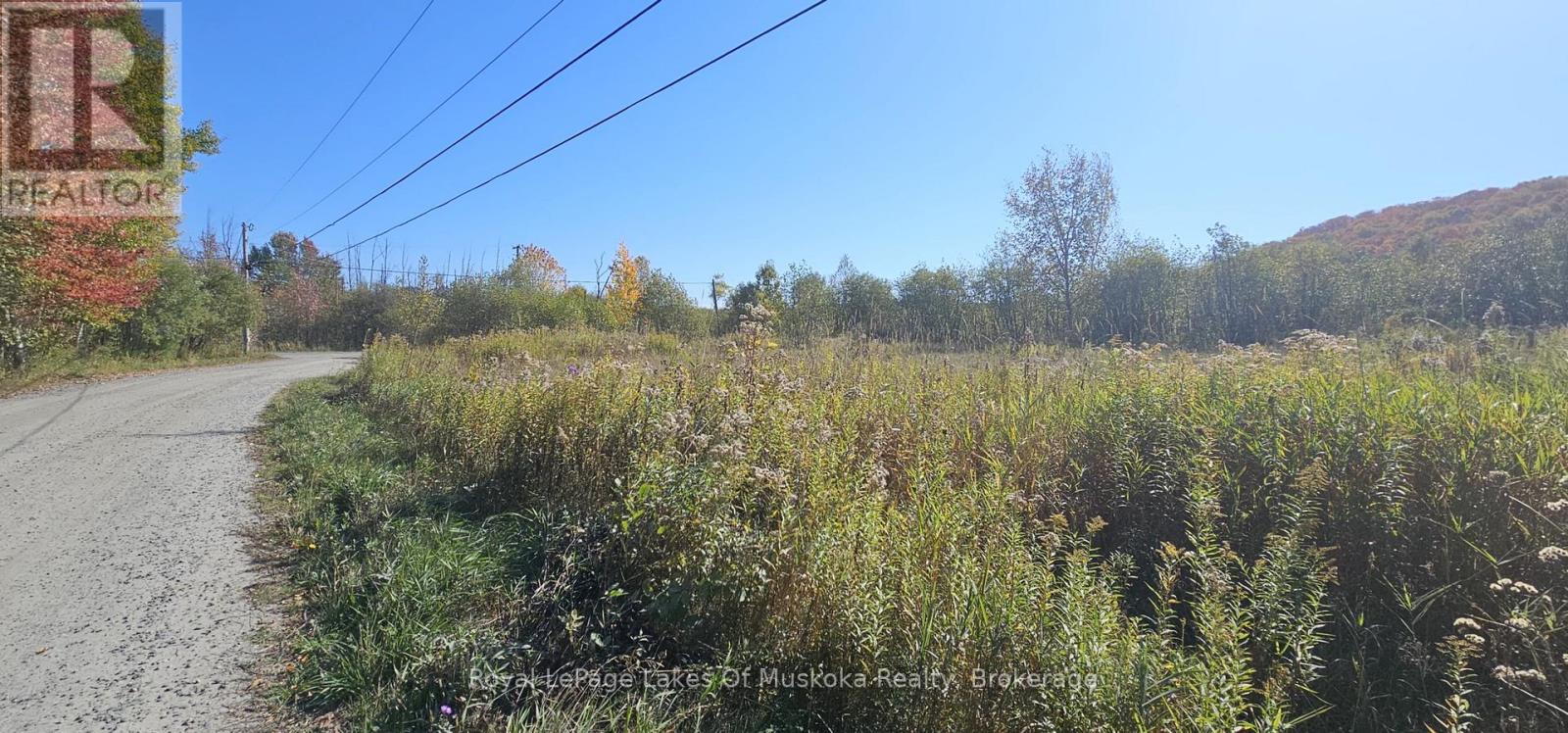 820 Bayshore Boulevard, Huntsville, Ontario  P1H 1Y7 - Photo 4 - X12447745