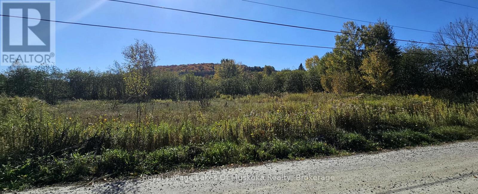 820 Bayshore Boulevard, Huntsville, Ontario  P1H 1Y7 - Photo 5 - X12447745