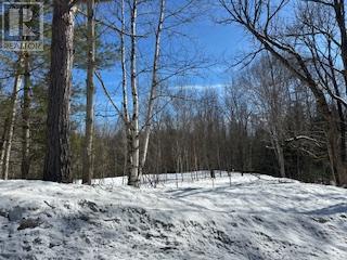 9 - Lot 18 Concession, Lake Of Bays, Ontario  P0B 1A0 - Photo 11 - X12448040