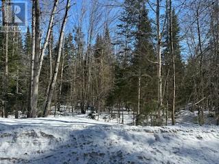 9 - Lot 18 Concession, Lake Of Bays, Ontario  P0B 1A0 - Photo 12 - X12448040
