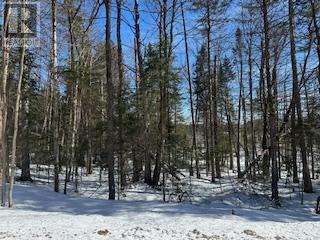 9 - Lot 18 Concession, Lake Of Bays, Ontario  P0B 1A0 - Photo 13 - X12448040