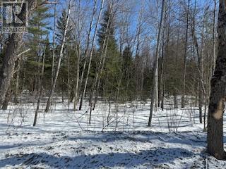 9 - Lot 18 Concession, Lake Of Bays, Ontario  P0B 1A0 - Photo 9 - X12448040