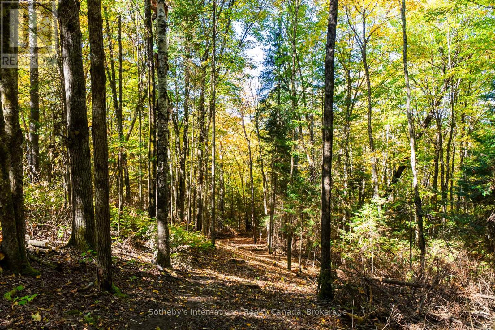 64 Bowyer Road, Huntsville, Ontario  P1H 2J4 - Photo 41 - X12448426