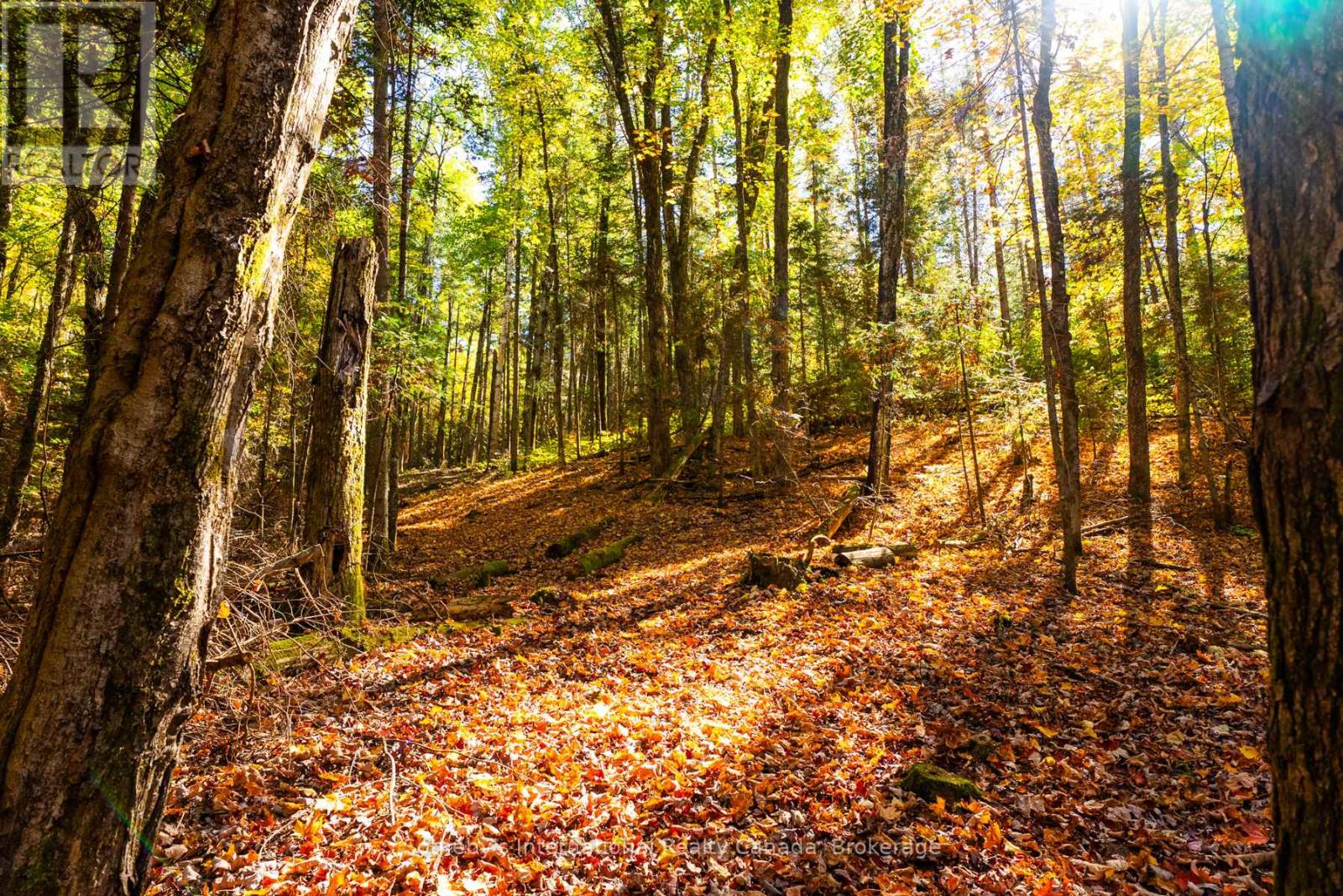 64 Bowyer Road, Huntsville, Ontario  P1H 2J4 - Photo 42 - X12448426