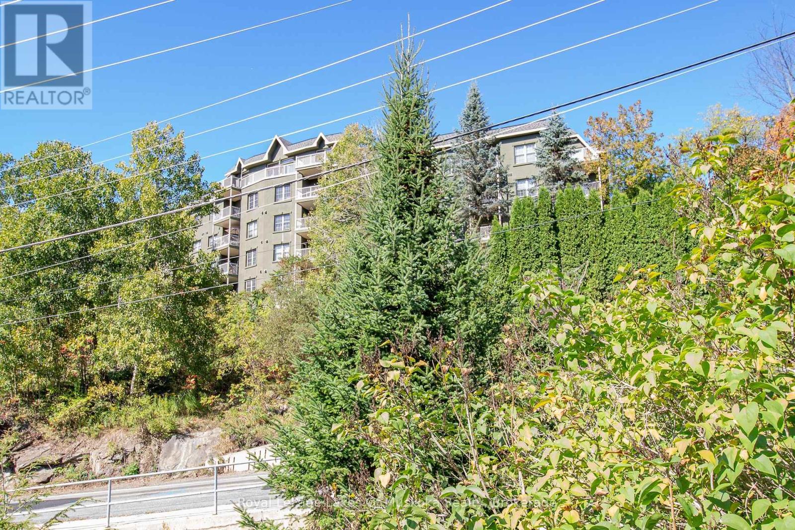 110 - 24 Ontario Street, Bracebridge, Ontario  P1L 2H5 - Photo 32 - X12448690