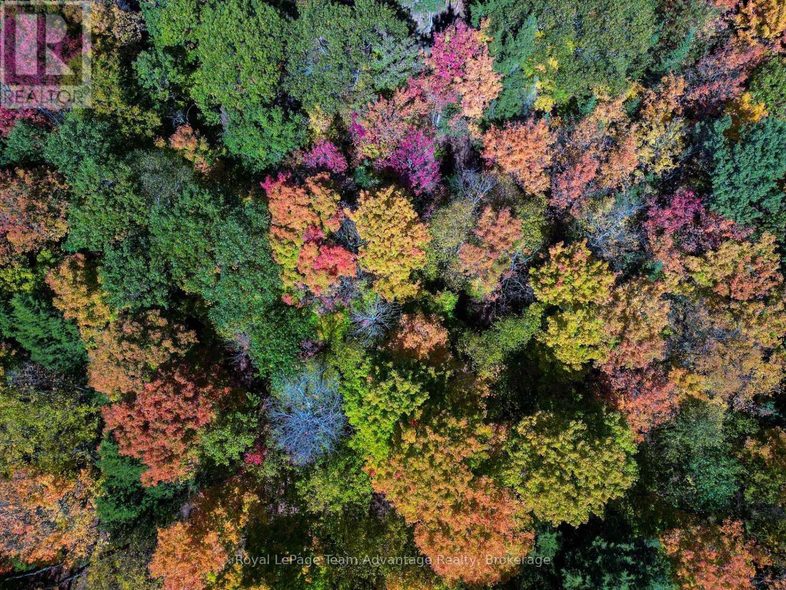 186 Turtle Lake Road, Seguin, Ontario  P0C 1J0 - Photo 22 - X12449658