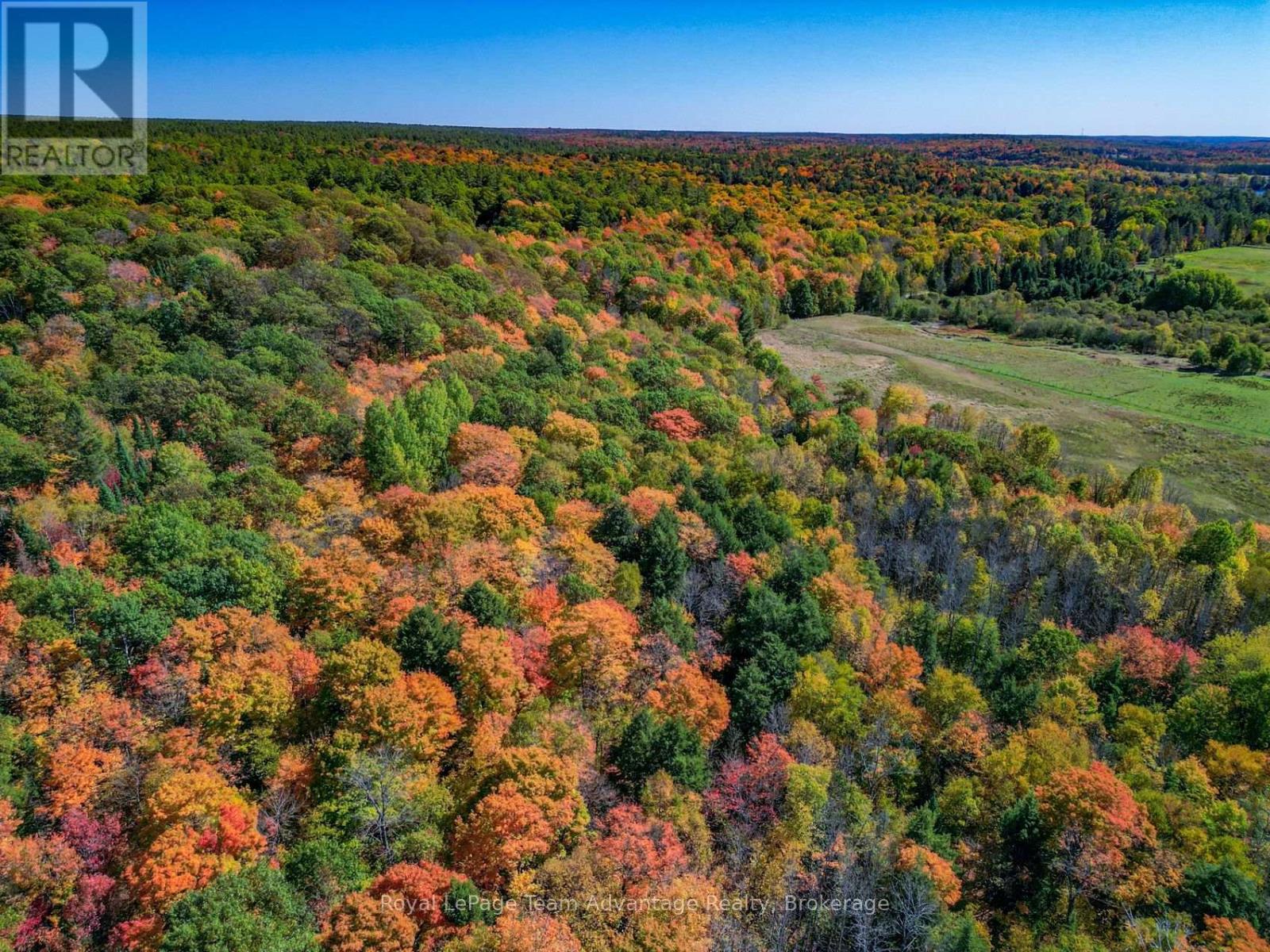 186 Turtle Lake Road, Seguin, Ontario  P0C 1J0 - Photo 23 - X12449658