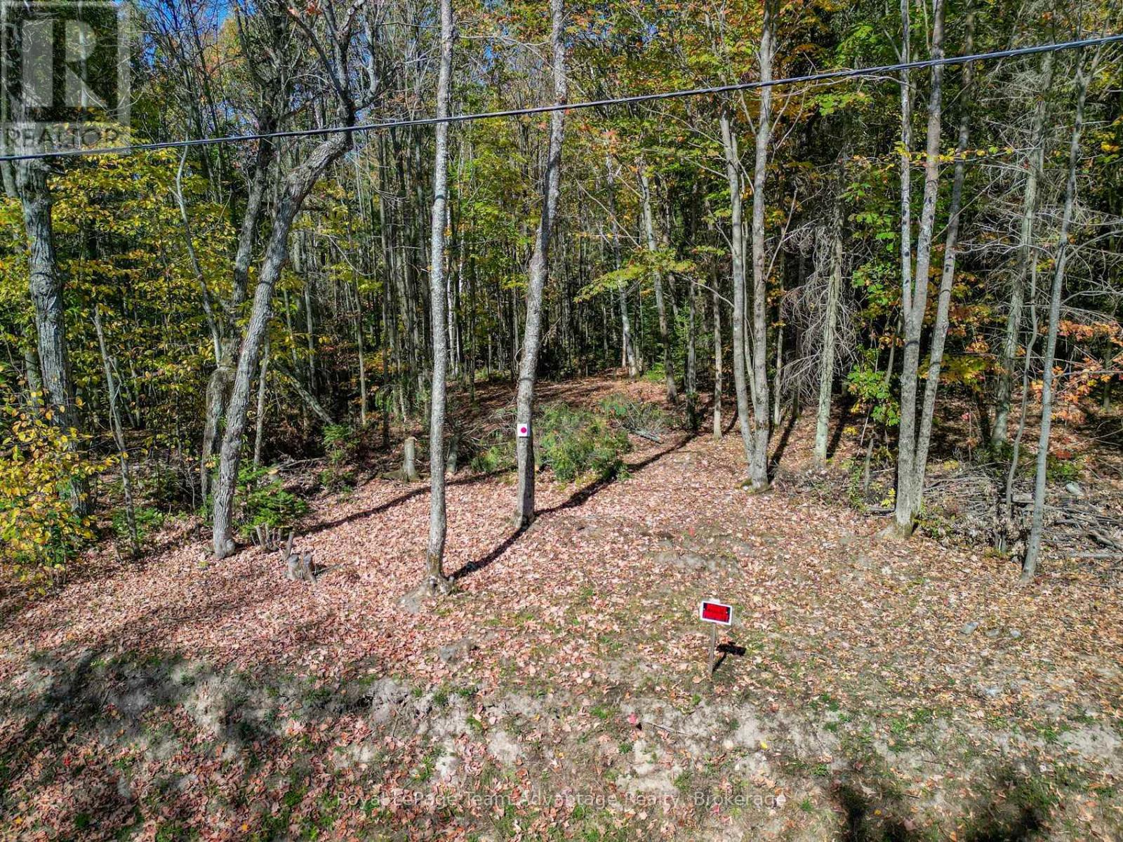 186 Turtle Lake Road, Seguin, Ontario  P0C 1J0 - Photo 24 - X12449658