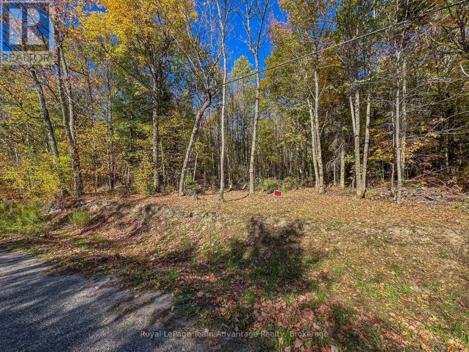 186 Turtle Lake Road, Seguin, Ontario  P0C 1J0 - Photo 26 - X12449658