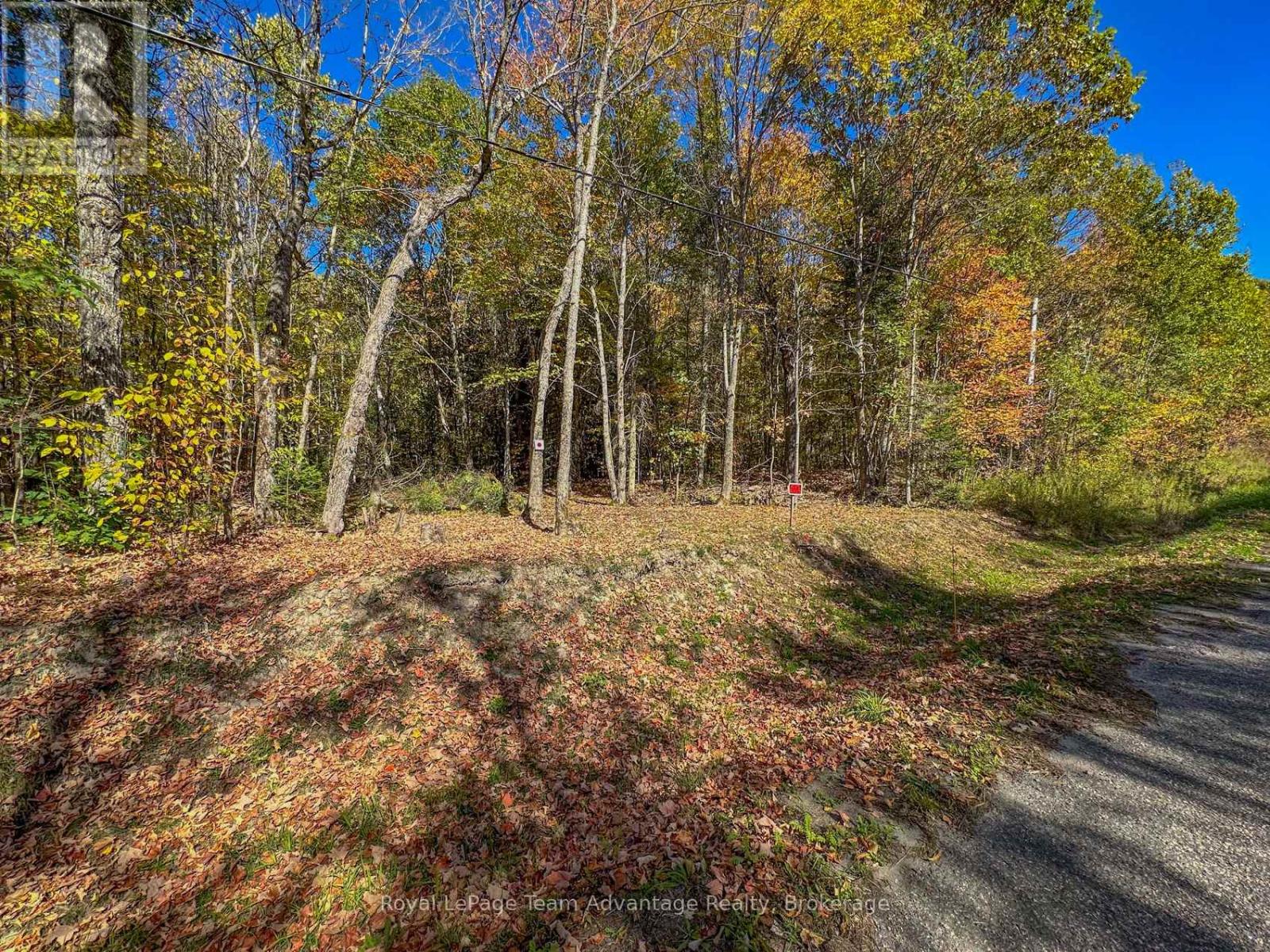 186 Turtle Lake Road, Seguin, Ontario  P0C 1J0 - Photo 29 - X12449658