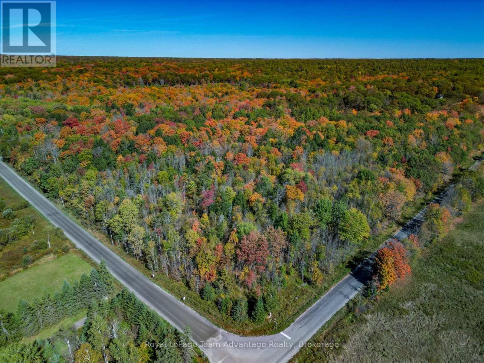 186 Turtle Lake Road, Seguin, Ontario  P0C 1J0 - Photo 4 - X12449658